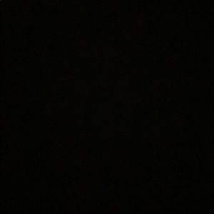 Meet your Posher, Isabelle